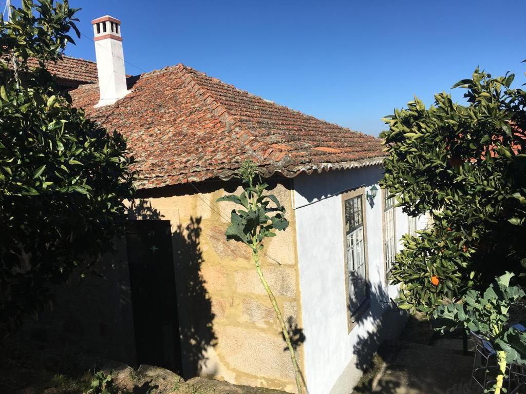 Casa Da Vila Penamacor Bagian luar foto