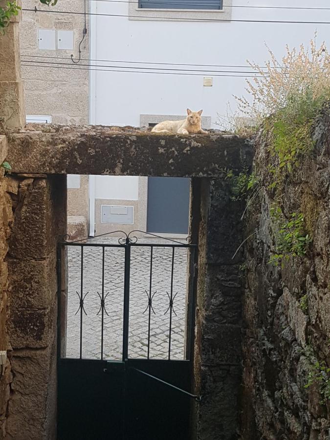 Casa Da Vila Penamacor Bagian luar foto