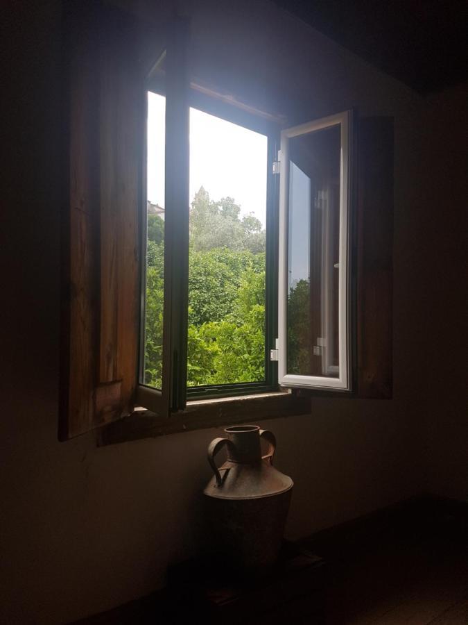 Casa Da Vila Penamacor Bagian luar foto
